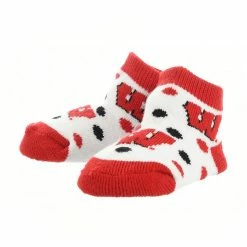 Buy ๐งจ TCK Wisconsin Badgers Toddler ๐งฆ Socks Low Cut Little Fan All Schools ๐ 5 TCK Wisconsin Badgers Toddler Socks Low Cut Little Fan All Schools