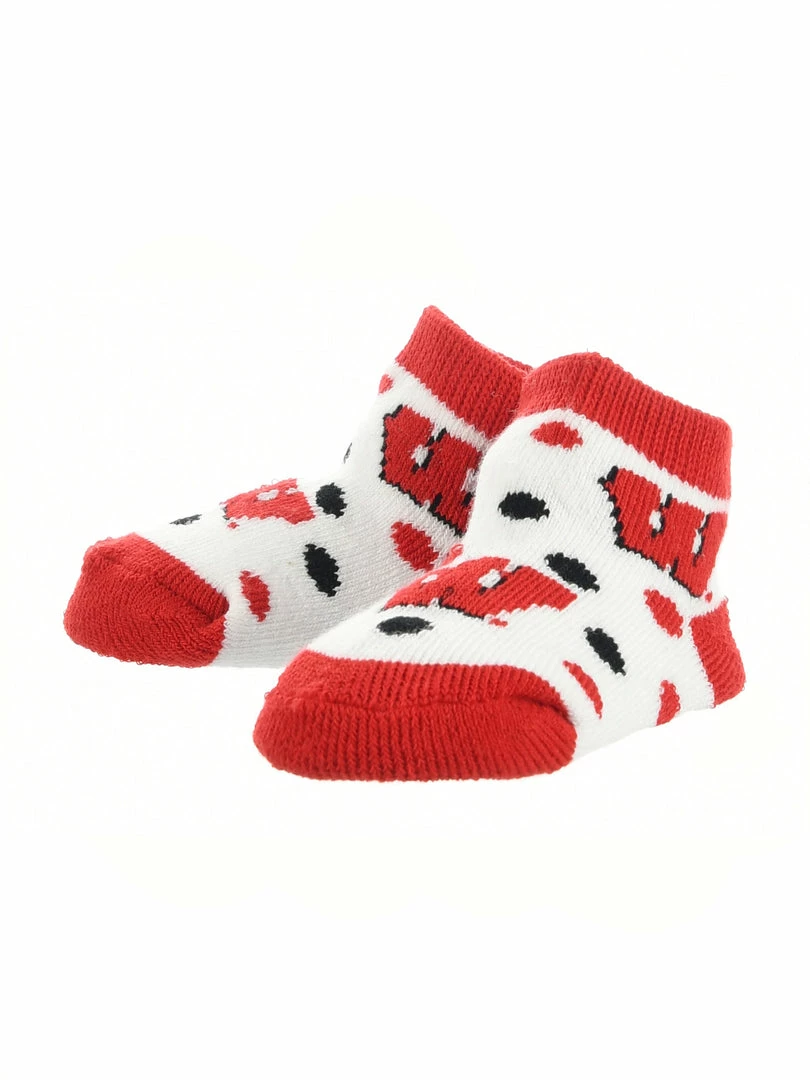 Buy ๐งจ TCK Wisconsin Badgers Toddler ๐งฆ Socks Low Cut Little Fan All Schools ๐ 2 TCK Wisconsin Badgers Toddler Socks Low Cut Little Fan All Schools
