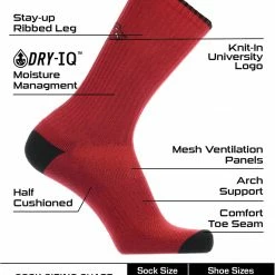 Top 10 ๐ TCK All Schools Arkansas Razorbacks ๐งฆ Socks Campus Legend Crew Length ๐ฅฐ 6 TCK All Schools Arkansas Razorbacks Socks Campus Legend Crew Length
