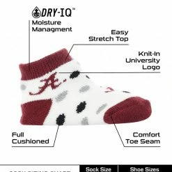 Best Pirce ๐ TCK Arkansas Razorbacks Toddler ๐งฆ Socks Low Cut Little Fan All Schools ๐ 6 TCK Arkansas Razorbacks Toddler Socks Low Cut Little Fan All Schools