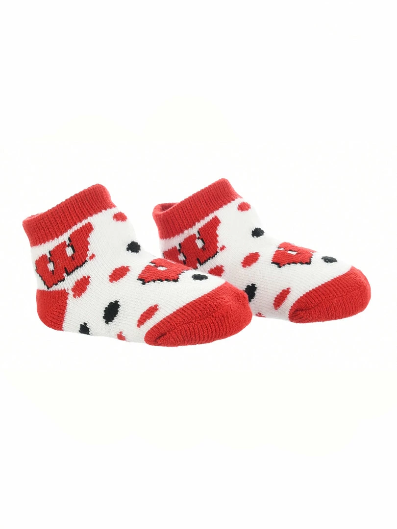 Buy ๐งจ TCK Wisconsin Badgers Toddler ๐งฆ Socks Low Cut Little Fan All Schools ๐ 4 TCK Wisconsin Badgers Toddler Socks Low Cut Little Fan All Schools