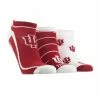 TCK All Schools Indiana Hoosiers No Show Socks Full Field 3 Pack