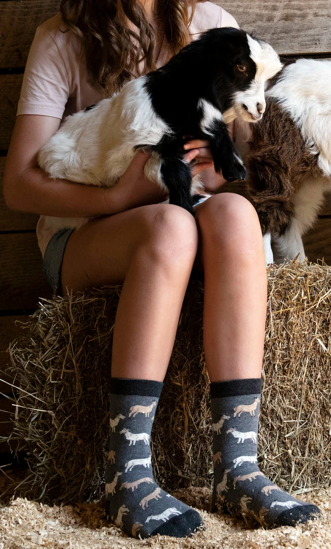 Coupon ๐ WHD Goat ๐งฆ Socks For ๐ฉ Women - Goat Lovers Gift - 2-Pack Crazy ๐งฆ Socks - Crew ๐ 4 WHD Goat Socks For Women - Goat Lovers Gift - 2-Pack Crazy Socks - Crew