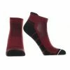 TCK All Schools South Carolina Fighting Gamecocks Low Cut Ankle Socks With Tab