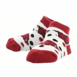 TCK Arkansas Razorbacks Toddler Socks Low Cut Little Fan All Schools