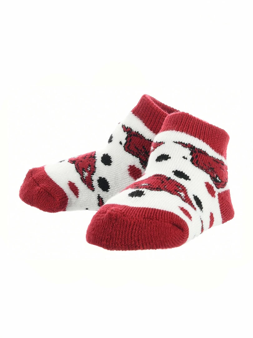 Best Pirce ๐ TCK Arkansas Razorbacks Toddler ๐งฆ Socks Low Cut Little Fan All Schools ๐ 2 TCK Arkansas Razorbacks Toddler Socks Low Cut Little Fan All Schools