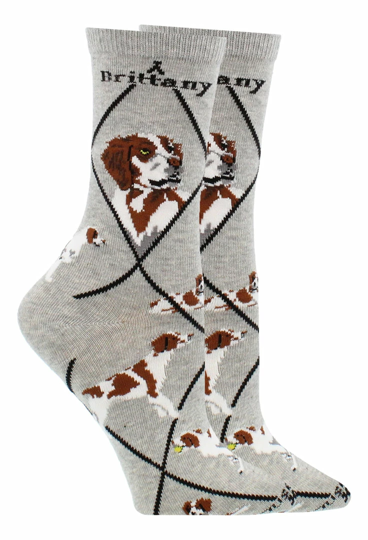 Buy ๐ WHD Brittany Spaniel ๐งฆ Socks For ๐ฉ Women Gift For ๐ถ Dog Lovers Crazy ๐งฆ Socks - Crew ๐ฅ 4 WHD Brittany Spaniel Socks For Women Gift For Dog Lovers Crazy Socks - Crew