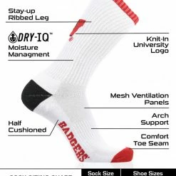 TCK Wisconsin Badgers Socks Basic Crew White Socks All Schools