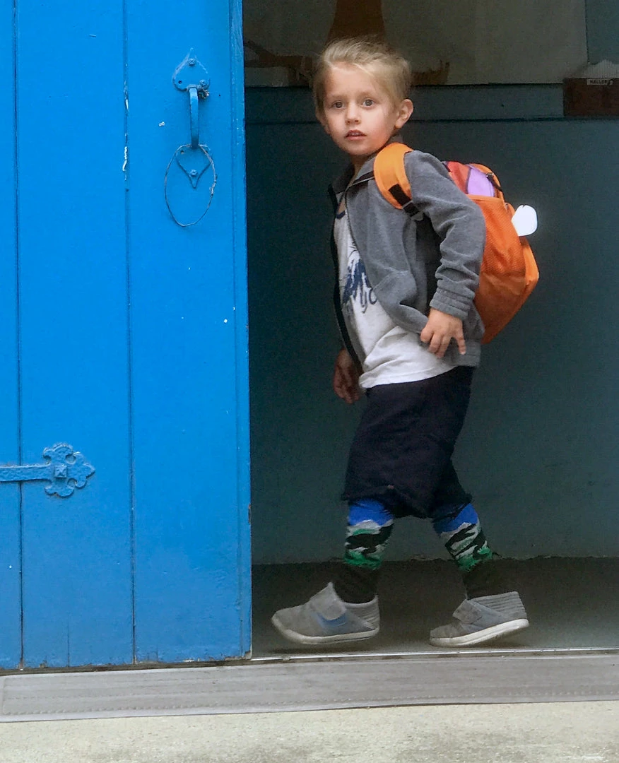 Budget 😍 MadSportsStuff Soccer 🧦 Socks Wild T-Rex Dinosaur 🧦 Socks Over The Calf ⭐ 6 MadSportsStuff Soccer Socks Wild T-Rex Dinosaur Socks Over The Calf