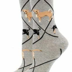 Hot Sale ✨ WHD Chiweenie 🧦 Socks For 👩 Women Gift For 🐶 Dog Lovers ❤️ 5 WHD Chiweenie Socks For Women Gift For Dog Lovers