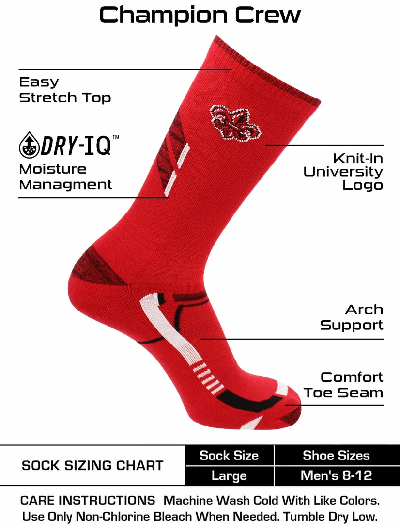 Discount ๐ TCK Louisiana Lafayette Ragin' Cajuns ๐งฆ Socks Champion Crew ๐งฆ Socks All Schools โค๏ธ 3 TCK Louisiana Lafayette Ragin' Cajuns Socks Champion Crew Socks All Schools