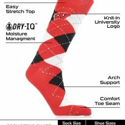 TCK Wisconsin Badgers Argyle Dress Socks NCAA Fanwear Crew Length All Schools