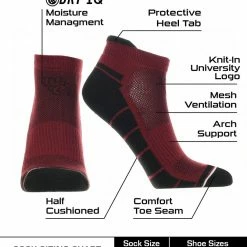 TCK All Schools South Carolina Fighting Gamecocks Low Cut Ankle Socks With Tab