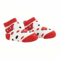 TCK Wisconsin Badgers Toddler Socks Low Cut Little Fan All Schools